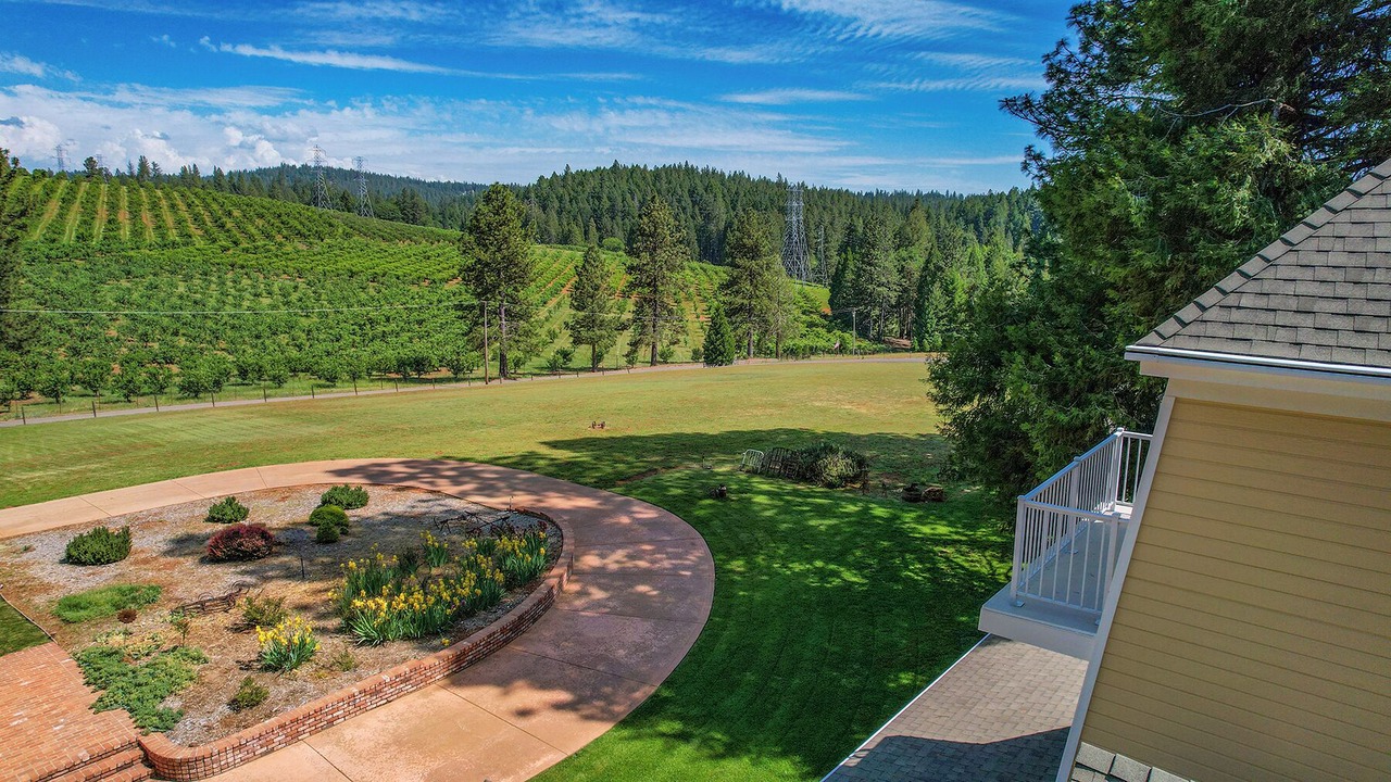 Photo of Outdoor in Apple Hill