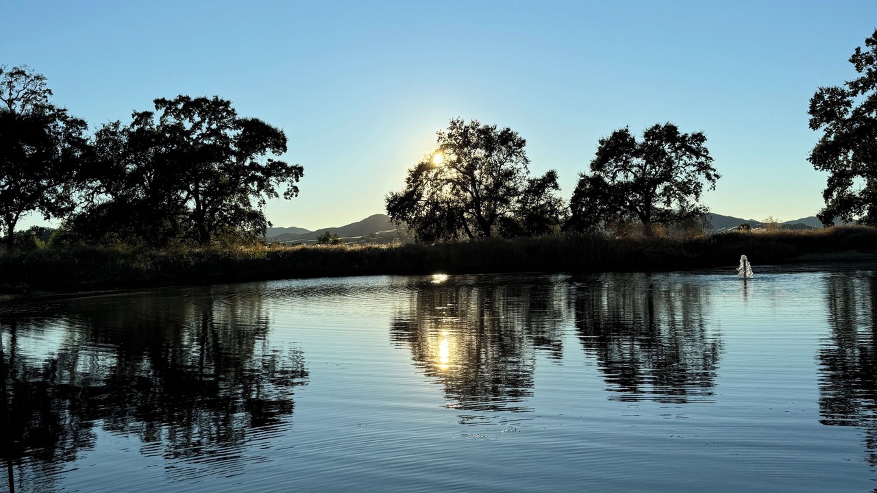 Photo of Others in Upper Lake