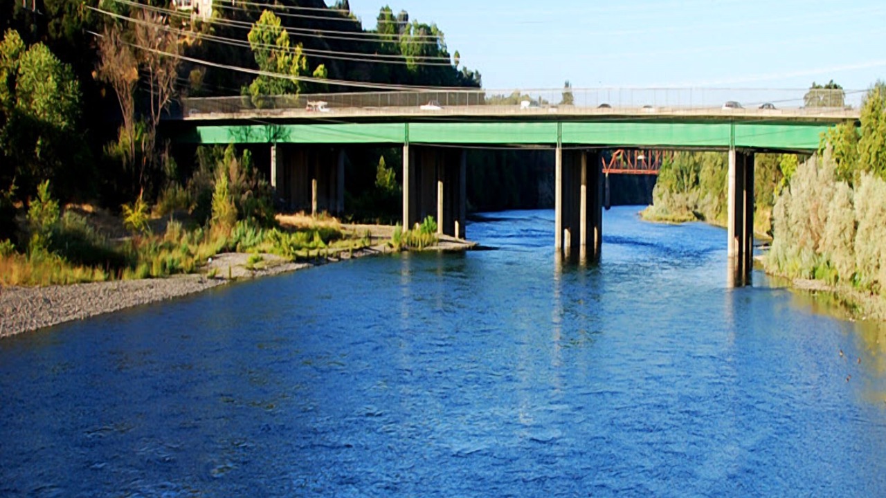 Photo of Others in Sacramento