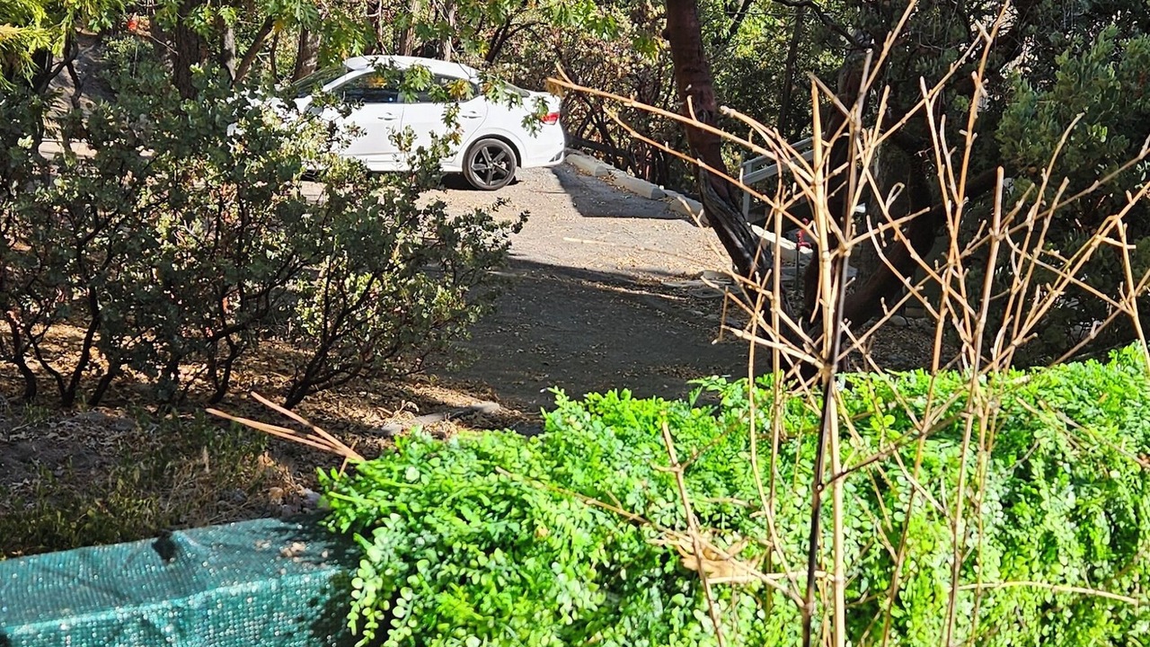 Photo of Outdoor in Mountain Center