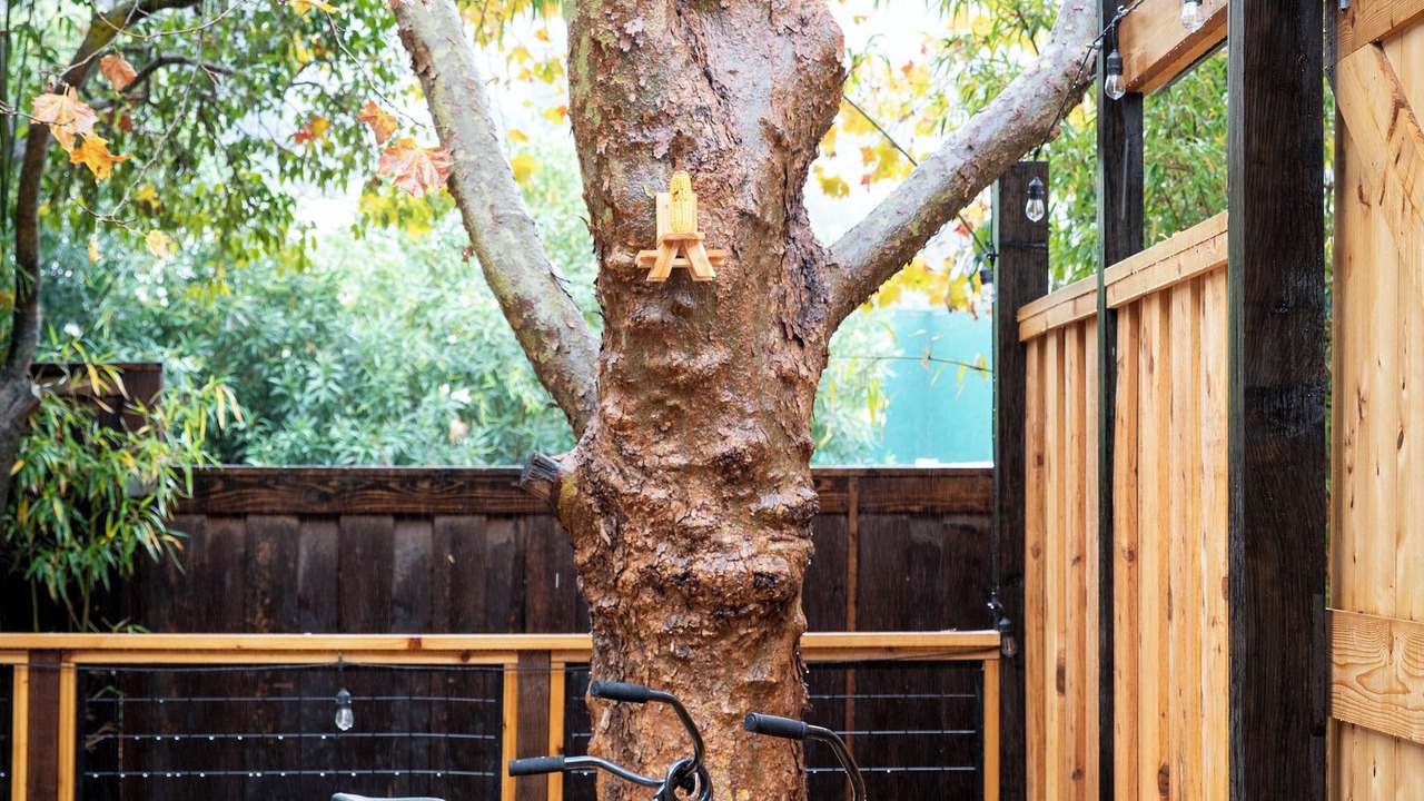 Photo of Outdoor in San Anselmo
