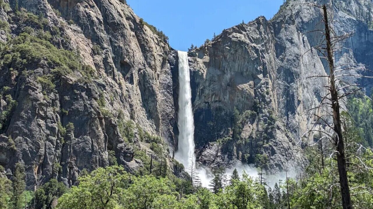 Photo of Others in Mariposa
