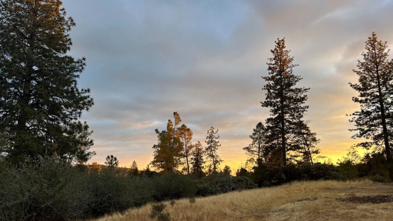 Photo of Others in Mariposa