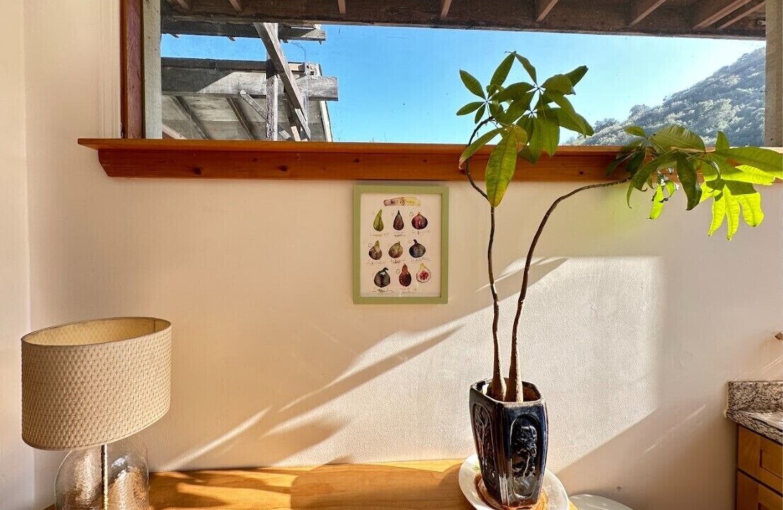 Photo of Others in Topanga