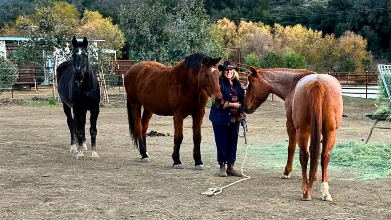 Photo of Others in Pauma Valley