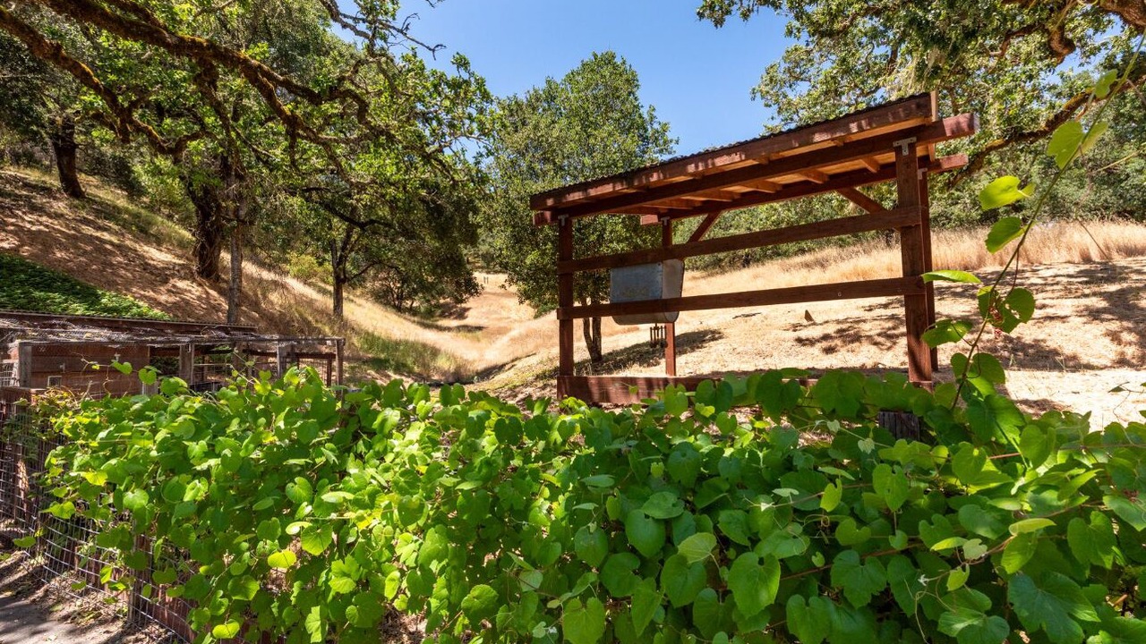 Photo of Outdoor in Santa Rosa