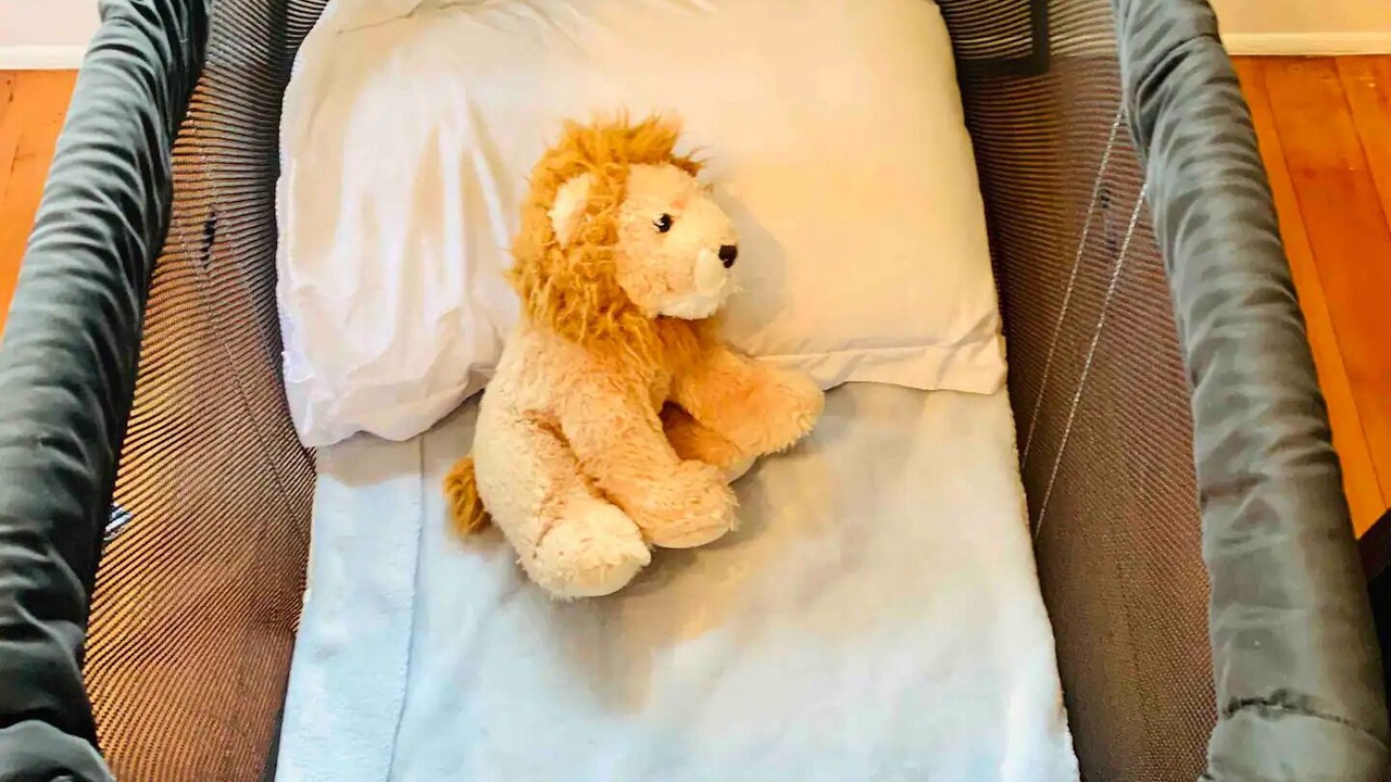 Photo of Others in Village of La Jolla