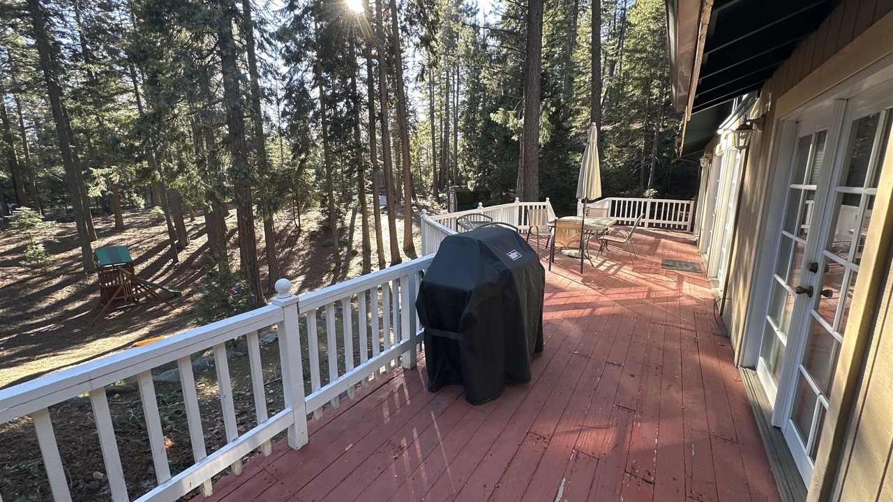 Photo of Outdoor in Mount Shasta
