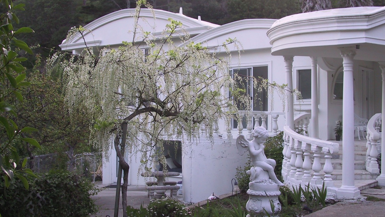 Photo of Outdoor in Mill Valley