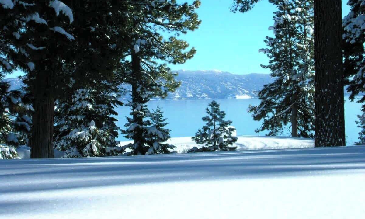 Photo of Others in Tahoe Tavern