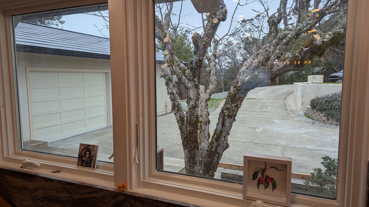 Photo of Others in Los Gatos