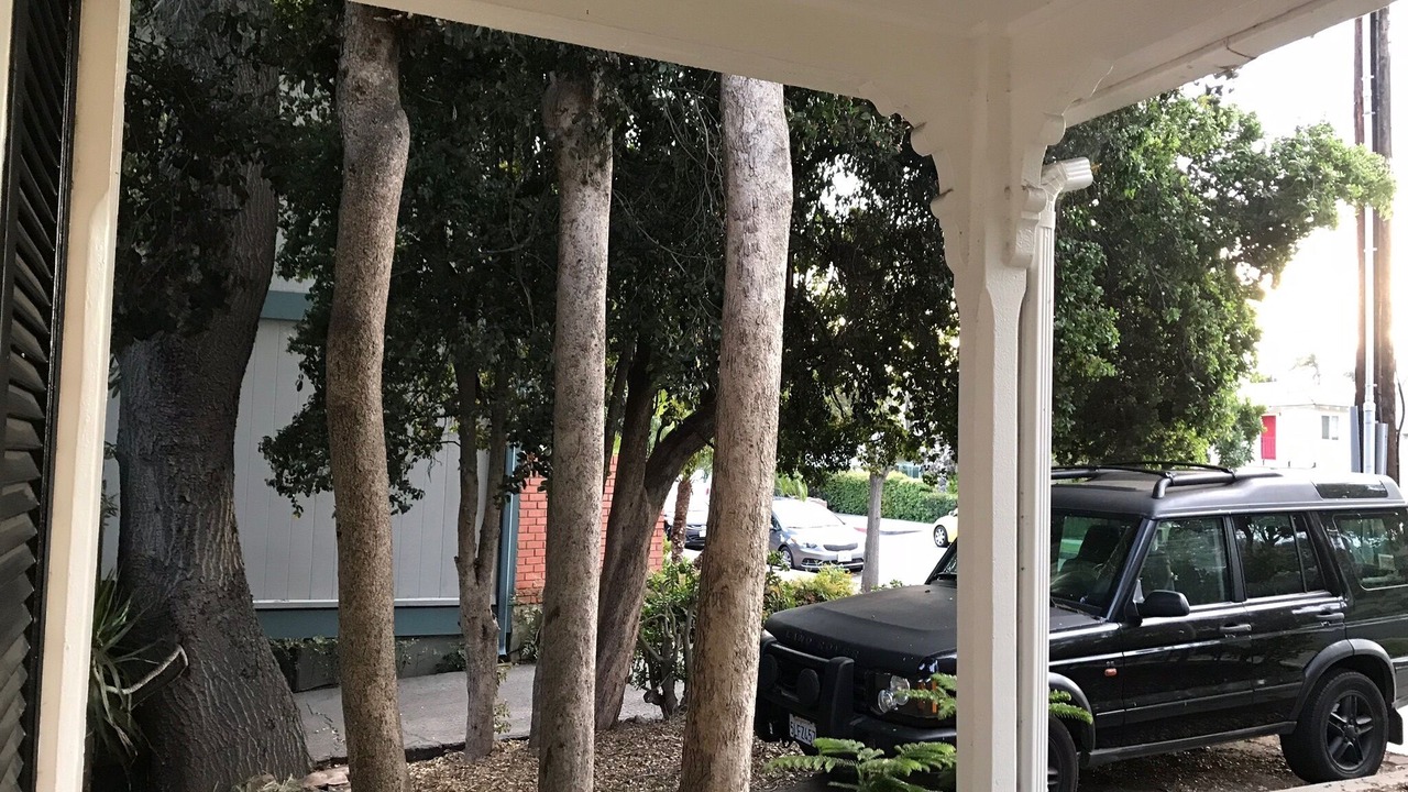 Photo of Outdoor in Oak Park