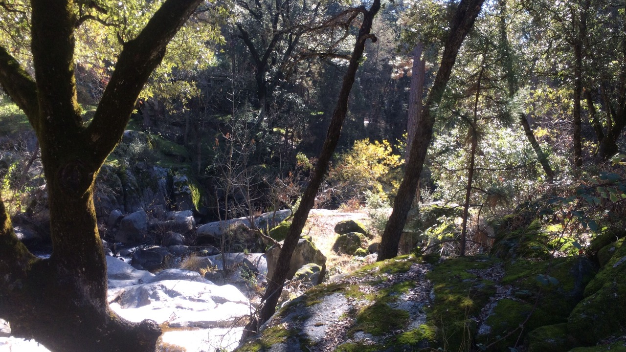 Photo of Others in Yosemite Forks