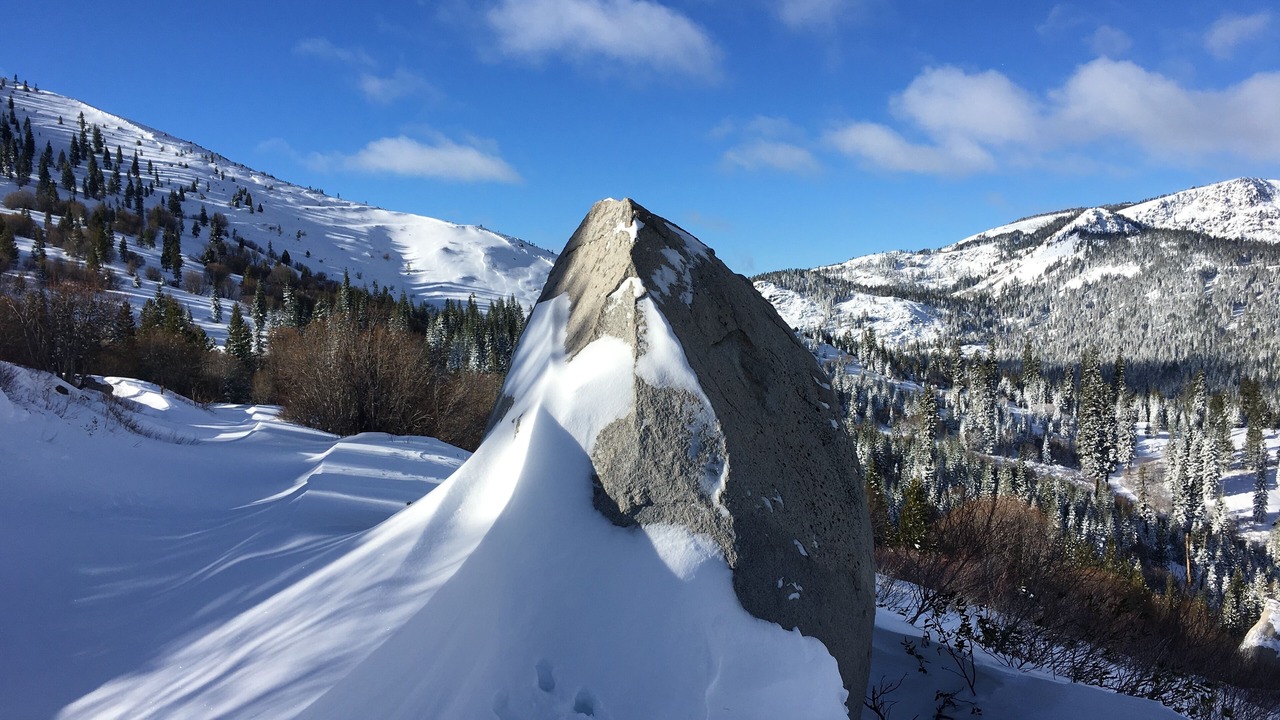 Photo of Others in Truckee