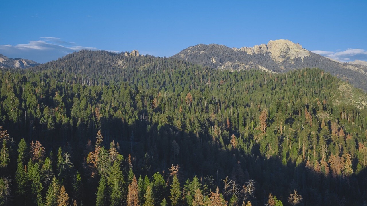 Photo of Others in Kaweah