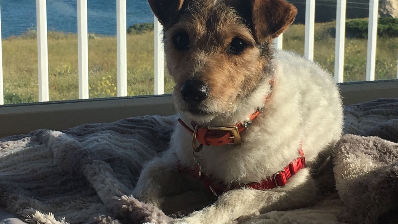 Photo of Others in Mendocino