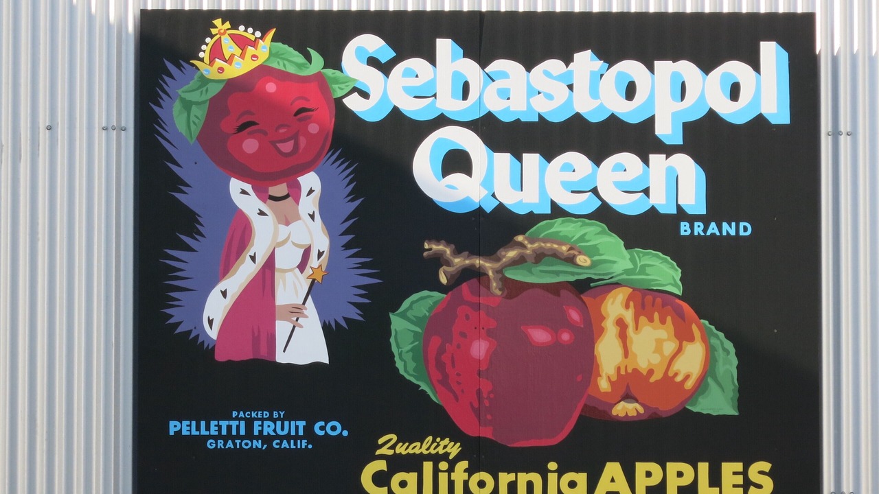Photo of Others in Sebastopol