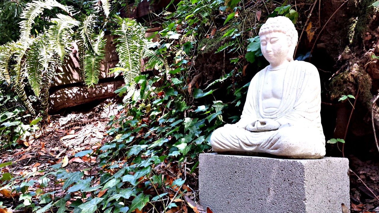 Photo of Outdoor in Hacienda