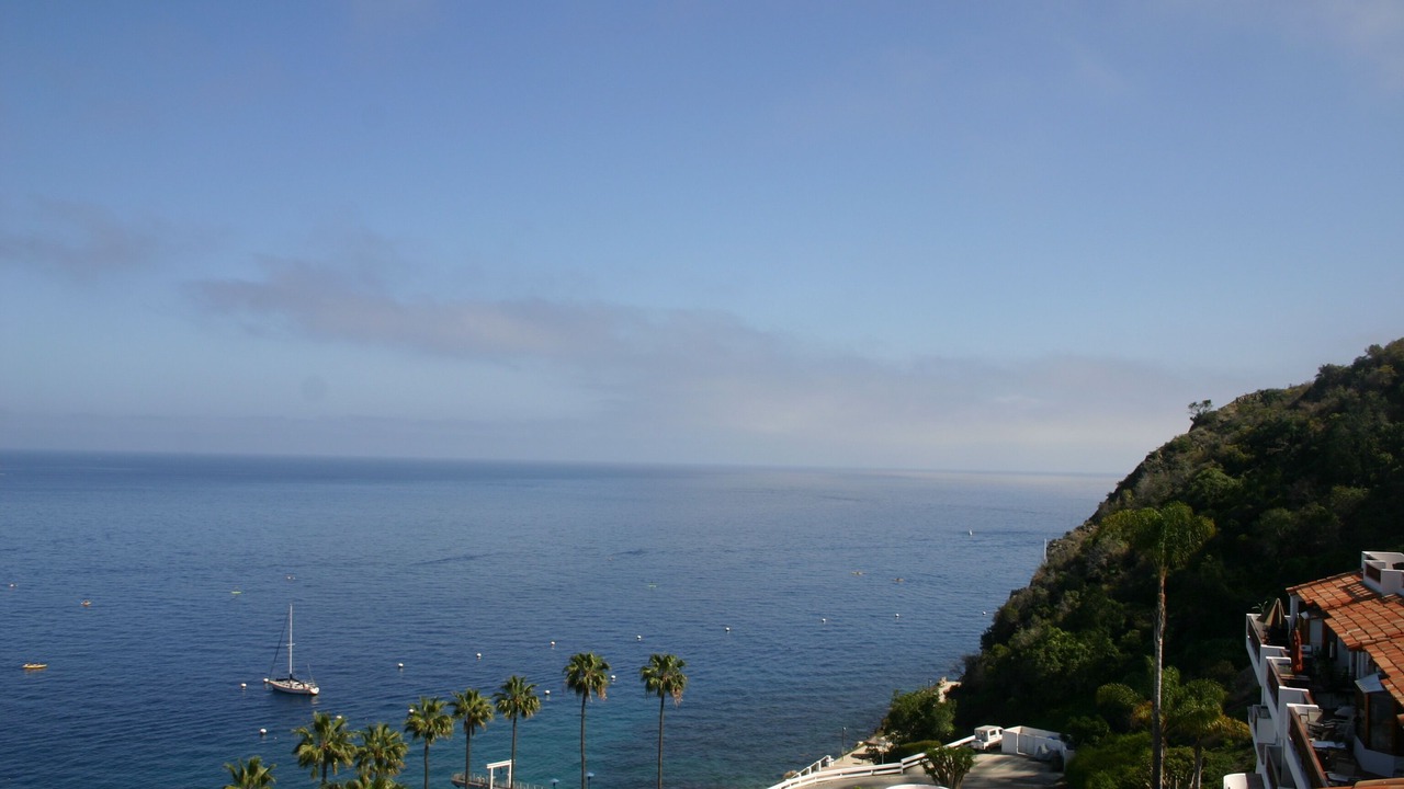 Photo of Patio Balcony in Avalon