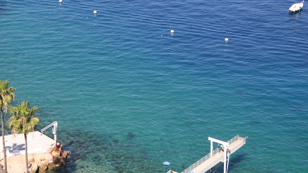 Photo of Others in Avalon