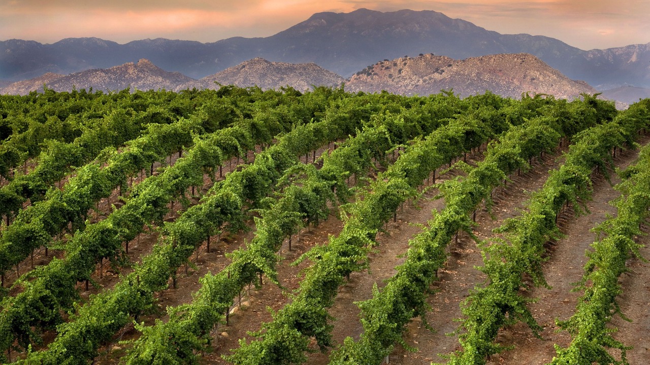 Photo of Outdoor in Temecula