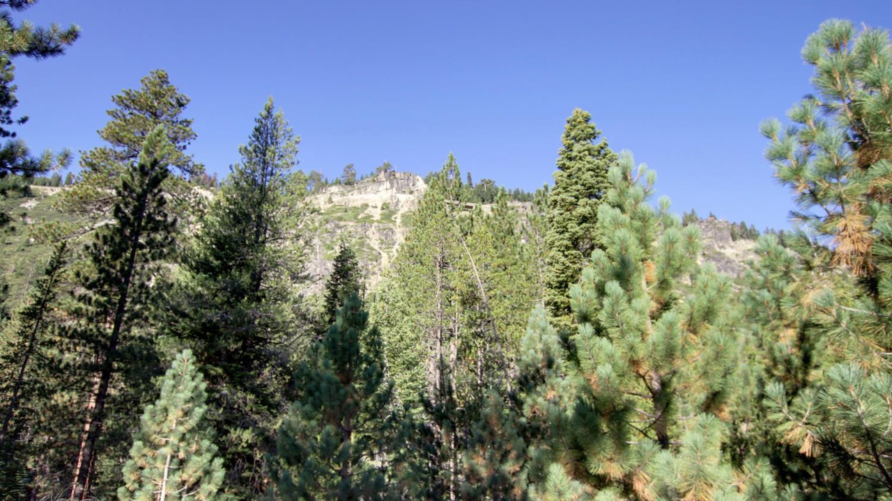 Photo of Others in Christmas Valley
