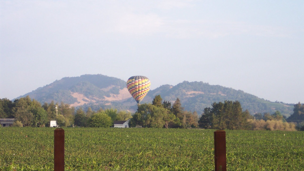 Photo of Outdoor in Napa