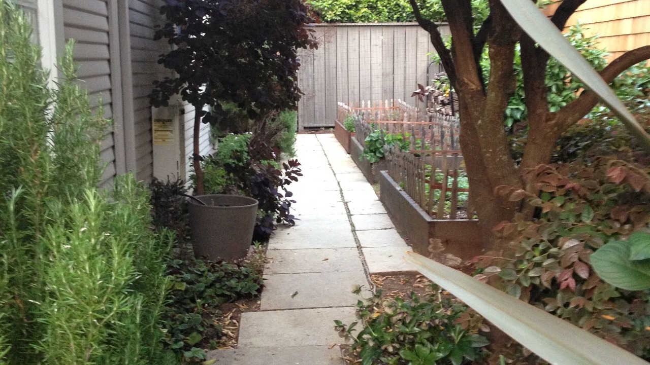 Photo of Outdoor in Picnic Valley