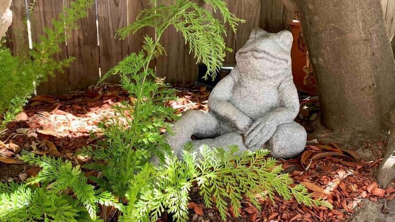 Photo of Outdoor in Saratoga