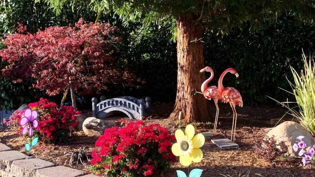 Photo of Outdoor in Saratoga