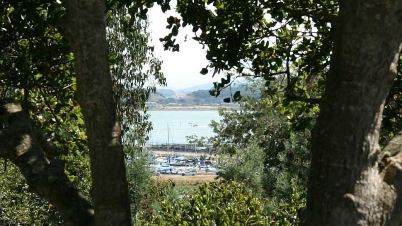 Photo of Others in Bayside Acres