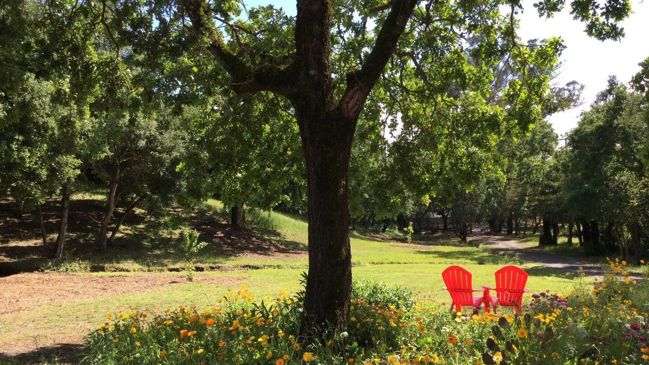 Photo of Outdoor in Santa Rosa