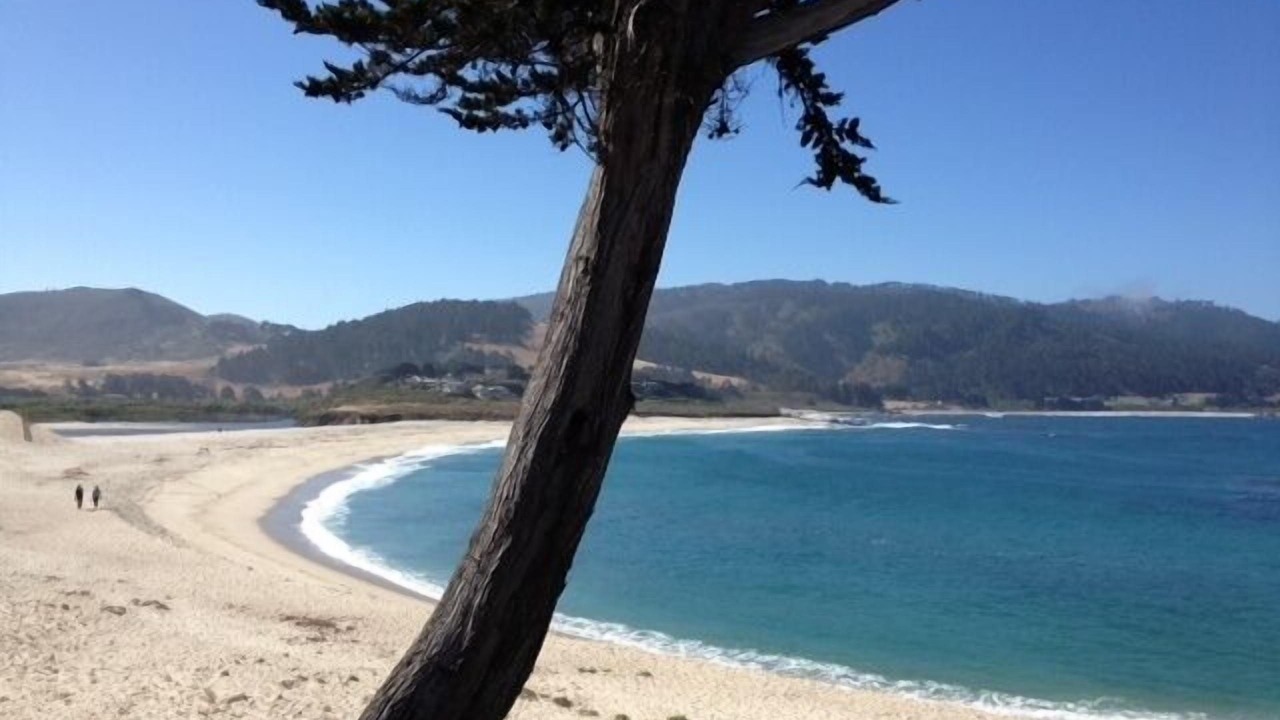 Photo of Others in Carmel Highlands