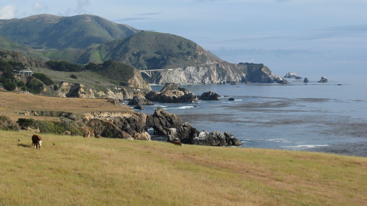 Photo of Others in Carmel Highlands