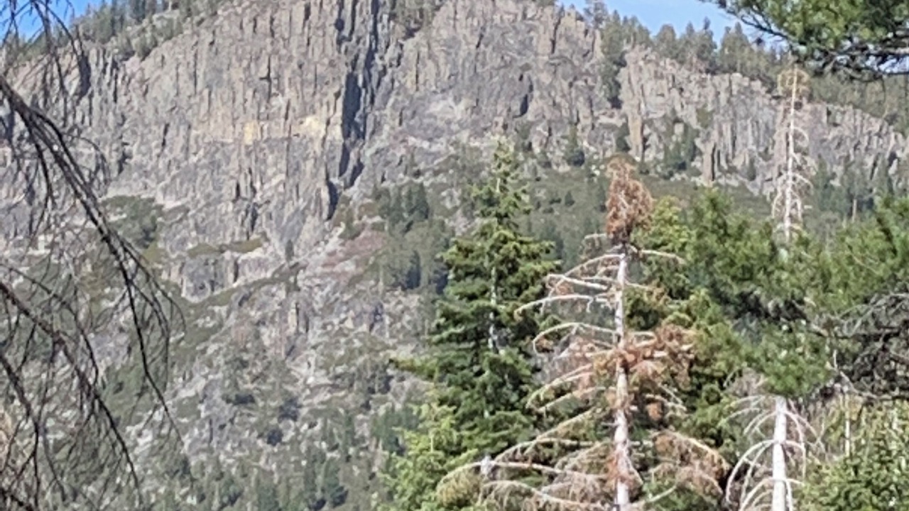 Photo of Others in Christmas Valley