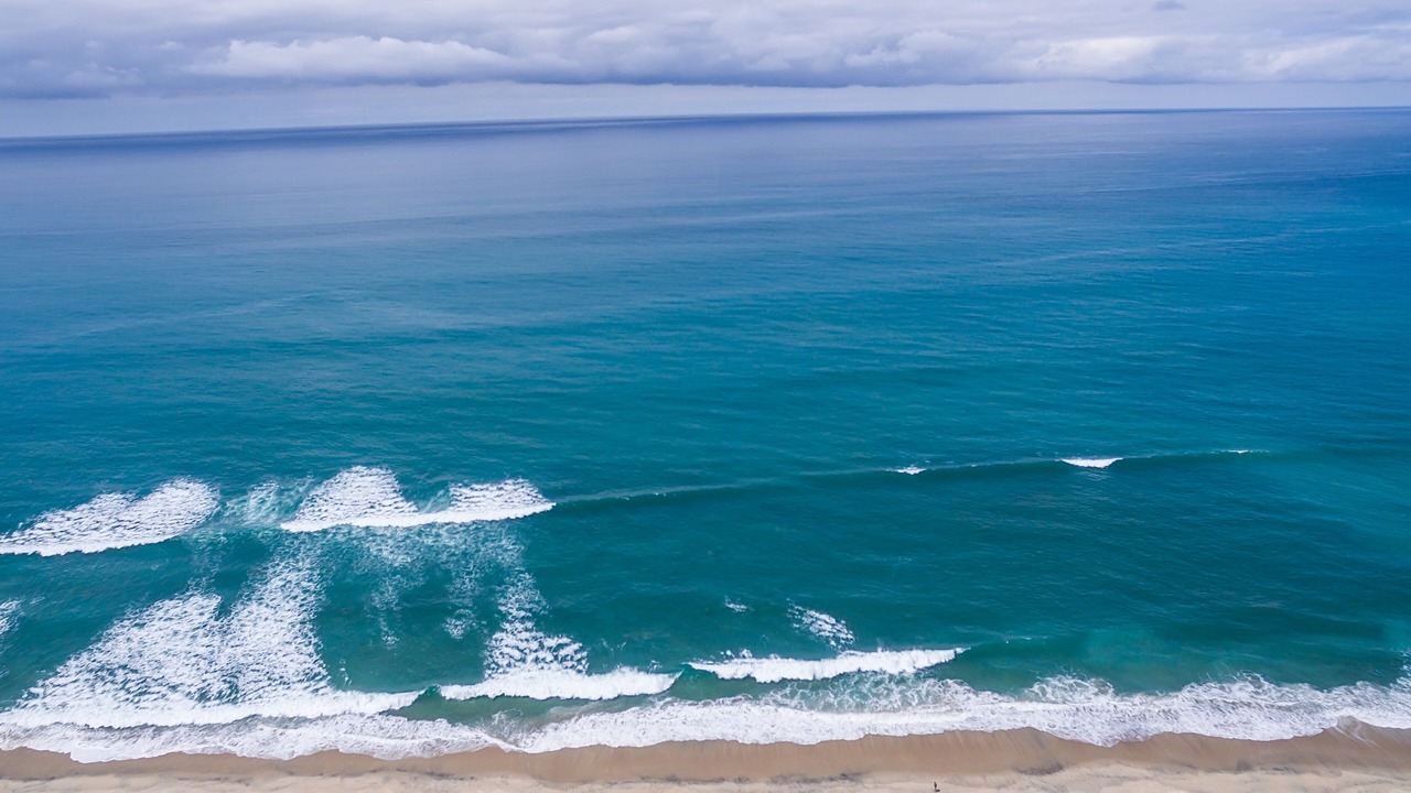 Photo of Others in Carlsbad Village