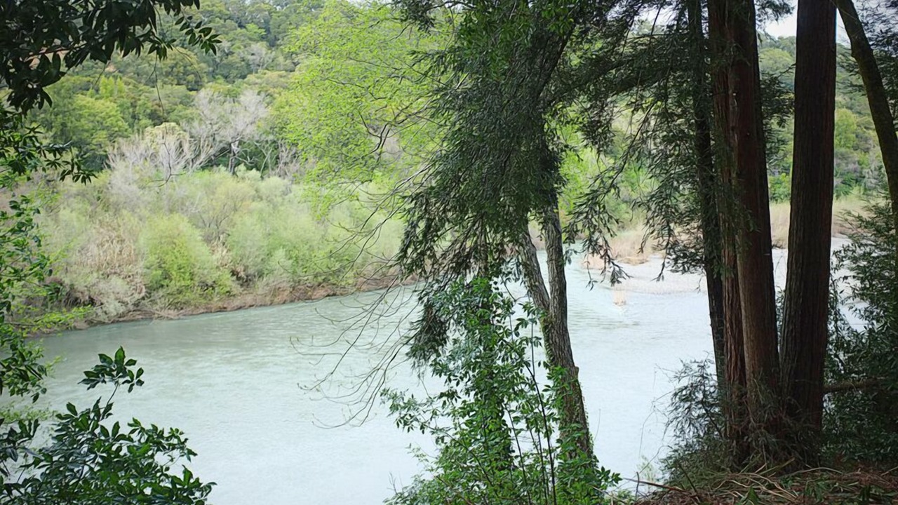 Photo of Outdoor in Healdsburg