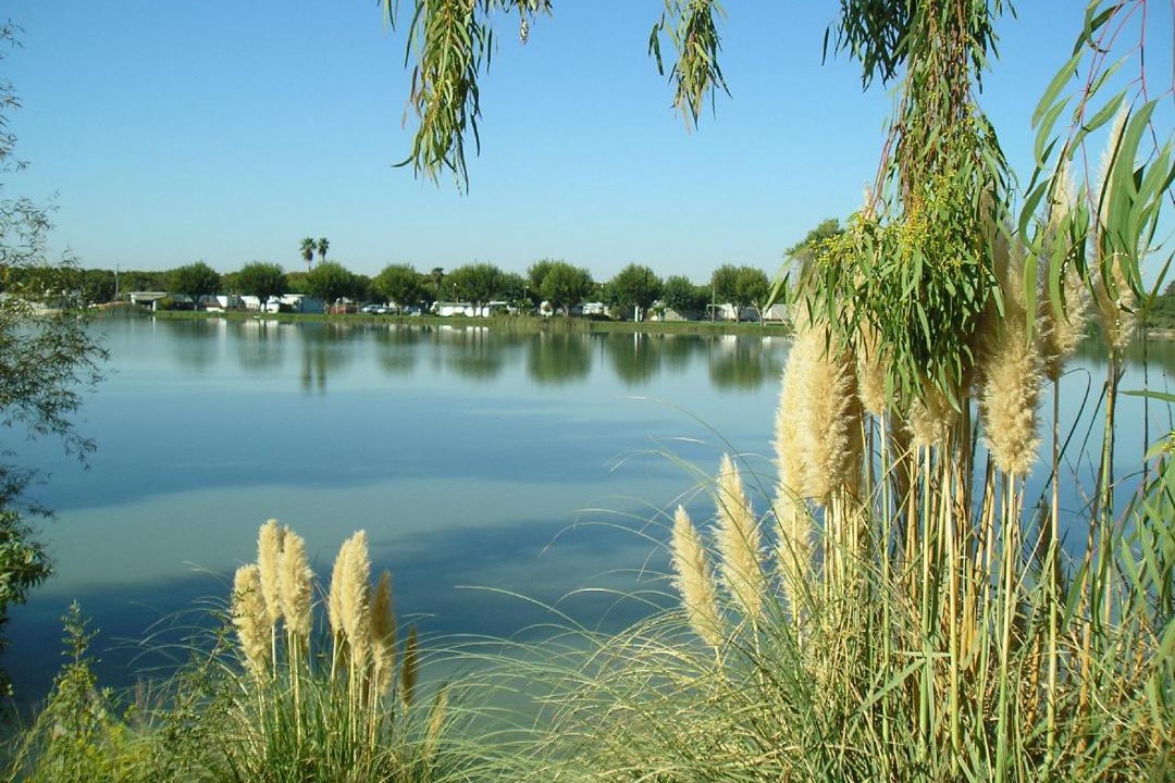 Photo of Outdoor in Nicolaus