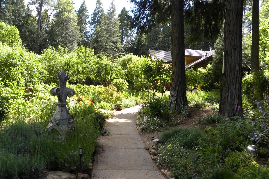 Photo of Others in Nevada City