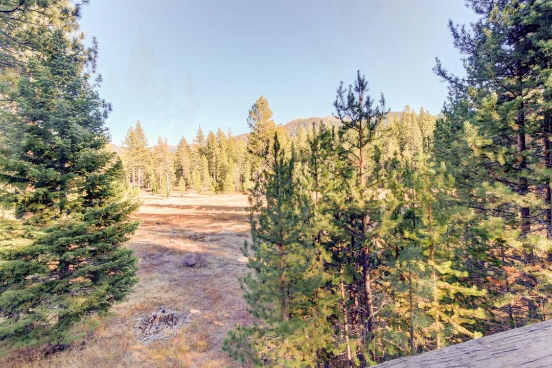 Photo of Others in Pioneer Trail