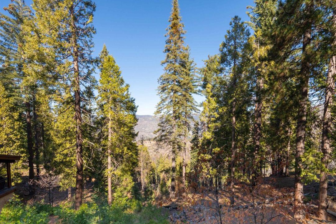 Photo of Others in Yosemite West