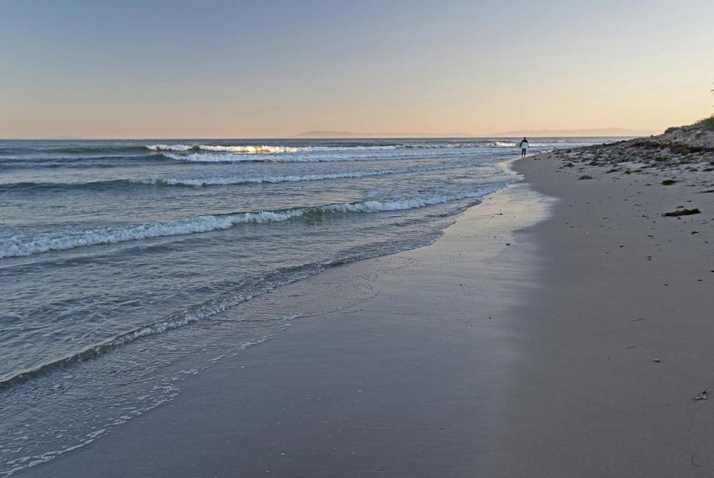 Photo of Others in Carpinteria