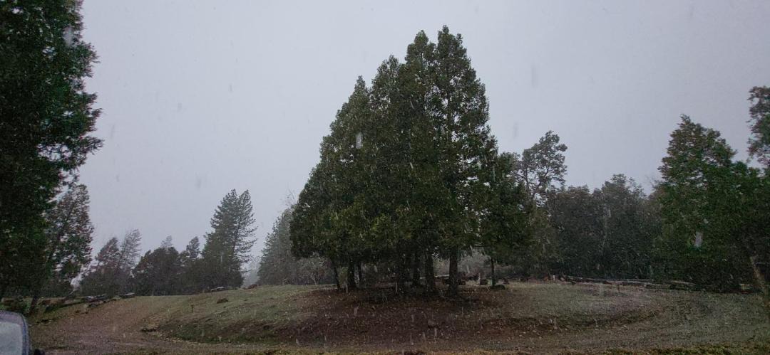 Photo of Outdoor in Mariposa