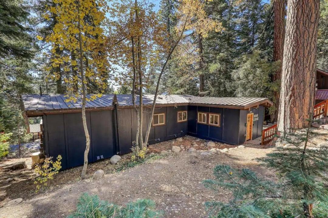 Photo of Others in Tahoe Woods