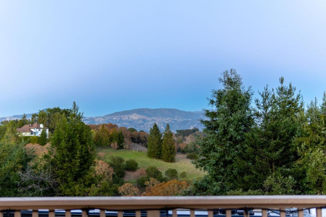 Photo of Others in Healdsburg