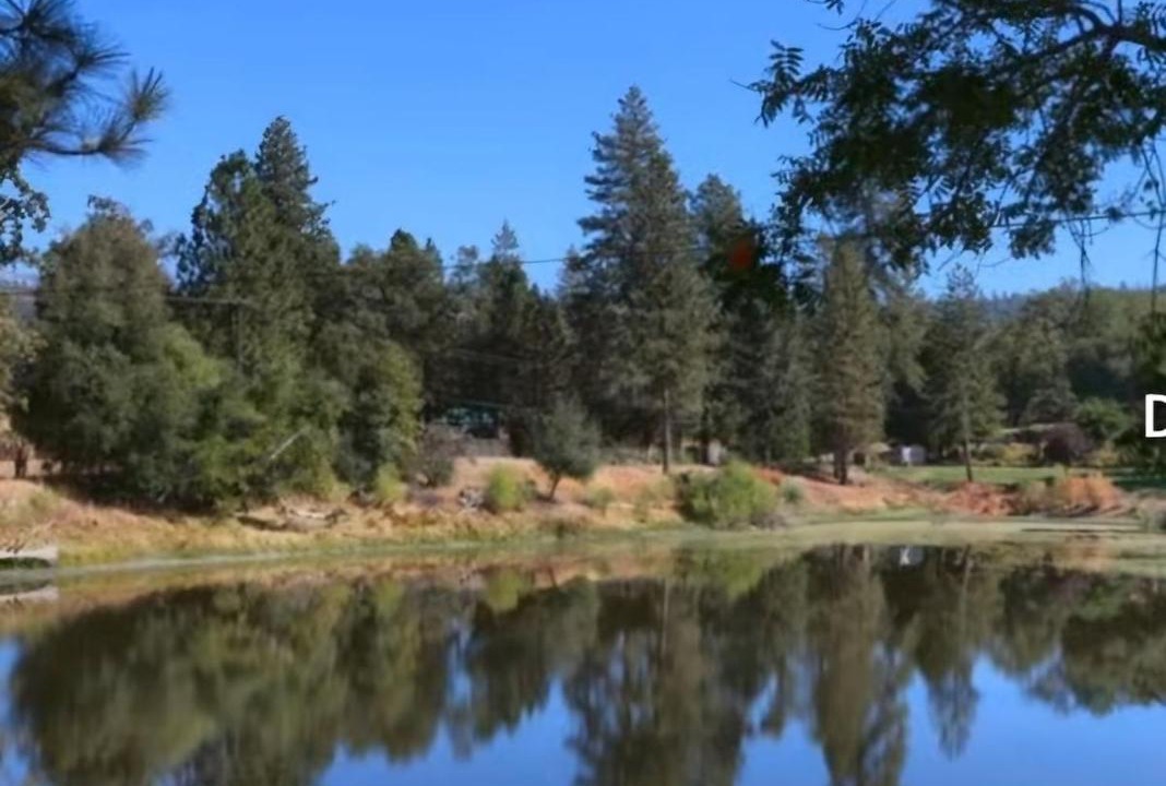 Photo of Others in Oakhurst