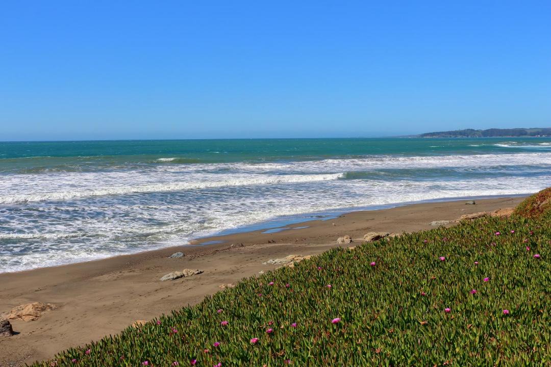 Photo of Others in San Simeon