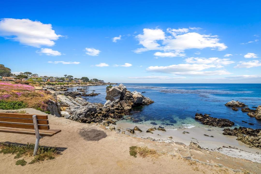 Photo of Others in Pacific Grove