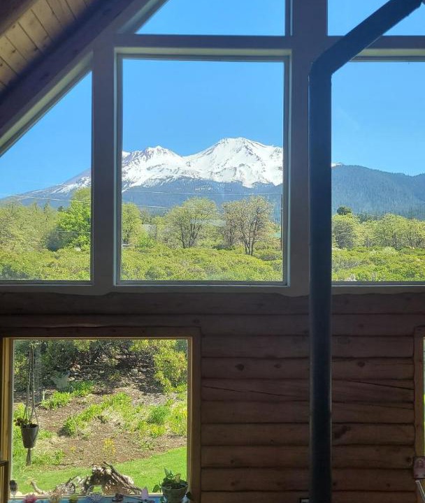 Photo of Others in Mount Shasta