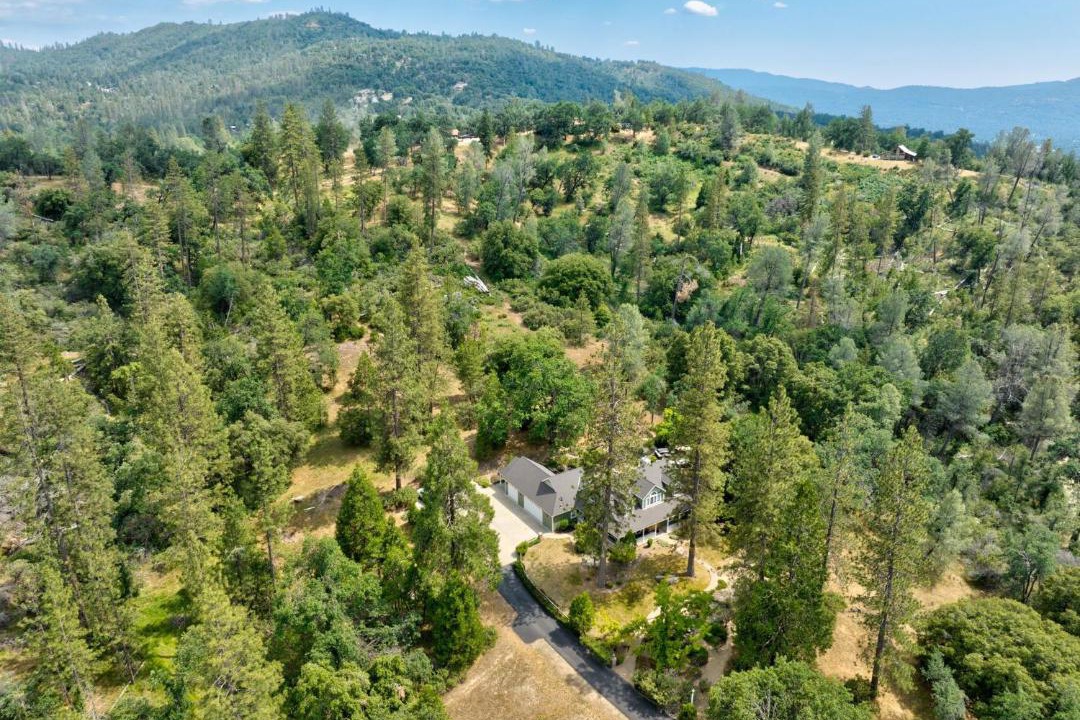 Photo of Others in Yosemite Forks